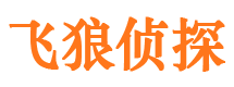 剑河调查公司